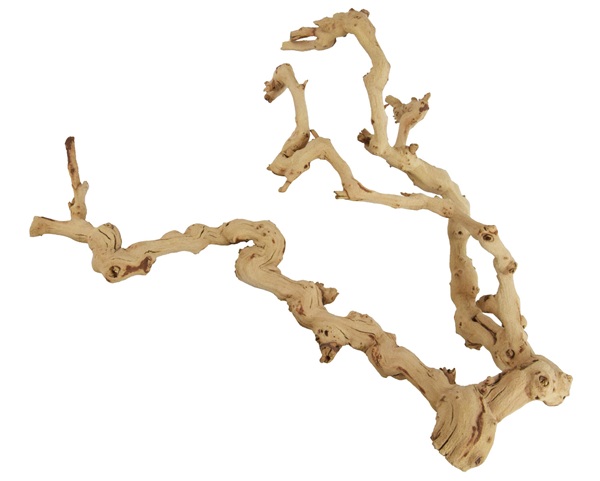 UT GRAPEWOOD LOG LARGE "17-24"