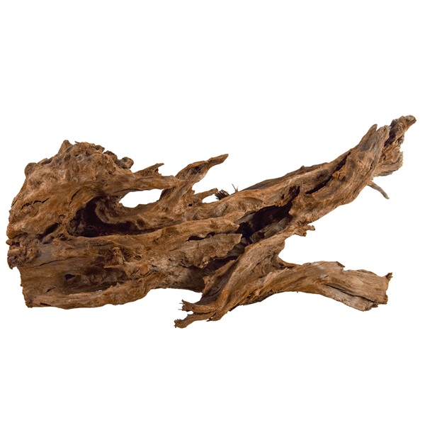 UT MANGROVE ROOT LARGE