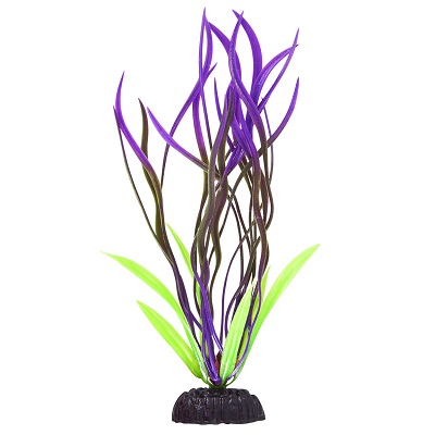 UT WAVY VAL GRN/PURPLE PLANT 8"