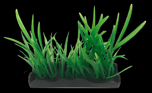 PP AQUASCAPING HAIRGRASS GRN MED