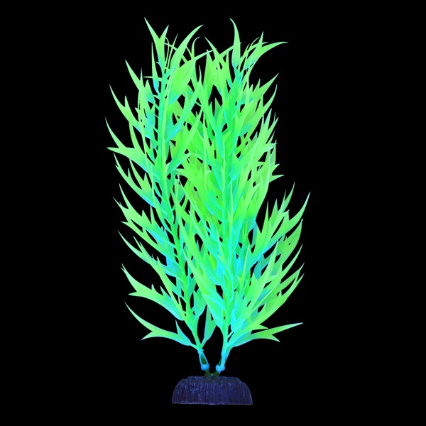 UT GLO BAMBOO GREEN