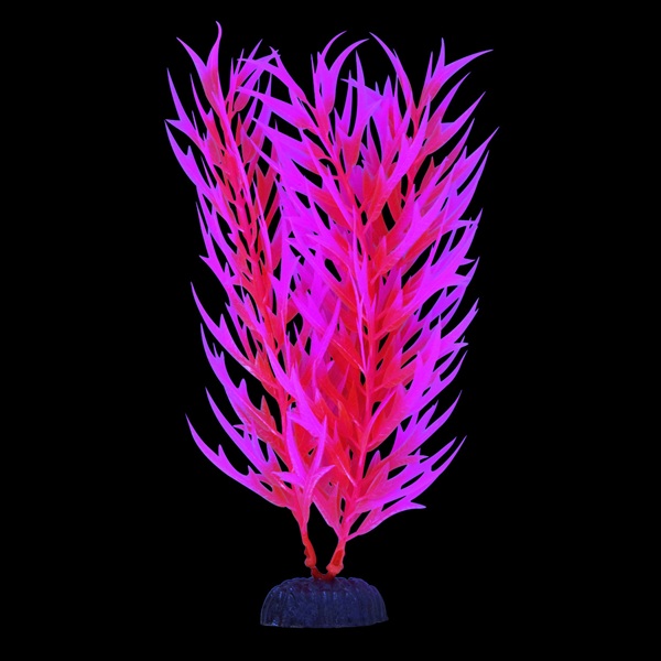 UT GLO BAMBOO PINK