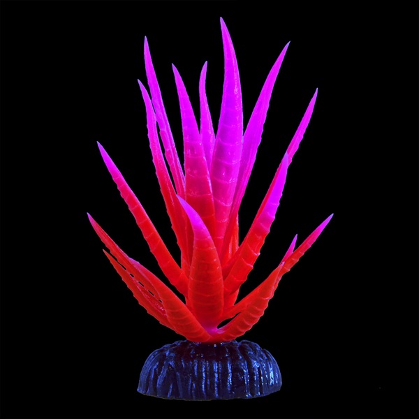 UT GLOW YUCCA PLANT PINK SMALL