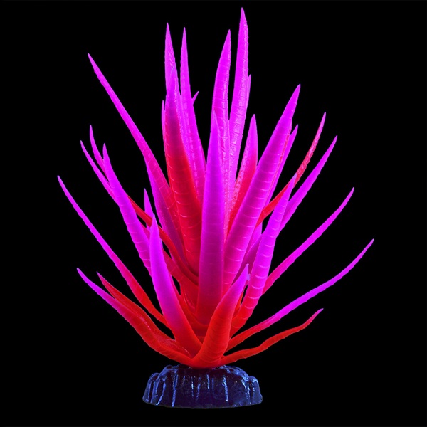 UT GLOW YUCCA PLANT PINK MED
