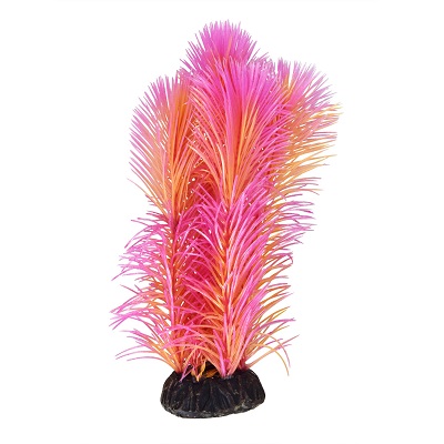 UT AMBULIA RED PLANT 8"