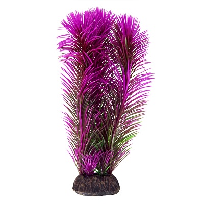 UT AMBULIA PURPLE PLANT 8"