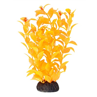 UT LUDWIGA ORANGE PLANT 8"