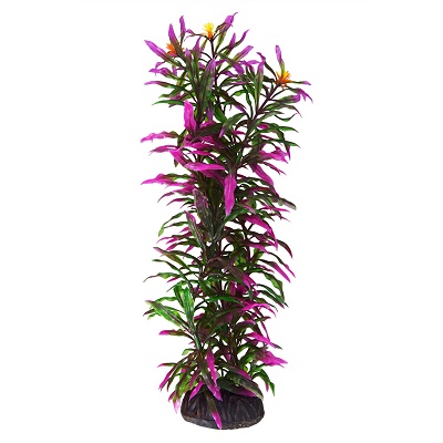 UT HYGRO ARAGUAIS PLANT 12"