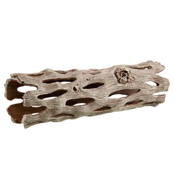 UT CHOLLA WOOD - LARGE