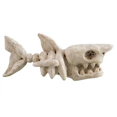 UT SHARK BONES