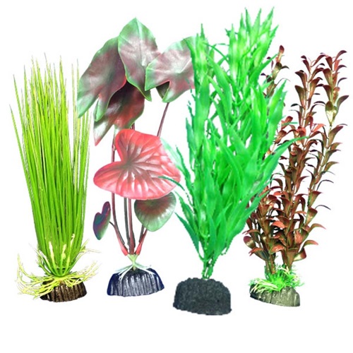 WECO PLANT MULTIPACK FRESH #103