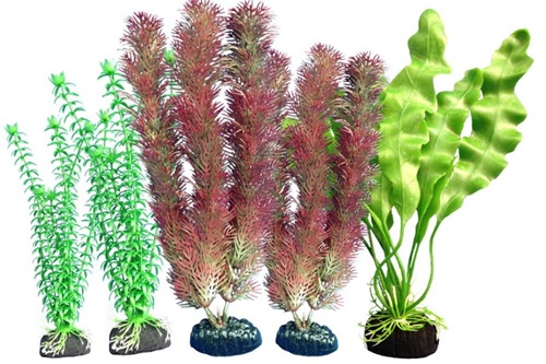 WECO PLANT MULTIPACK FRESH #108