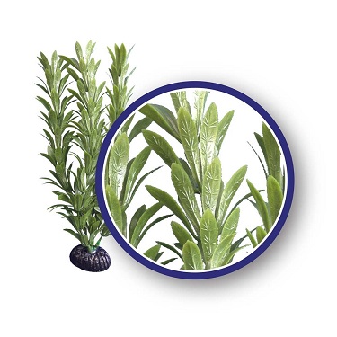 WECO PLANT ANACHARIS  9"