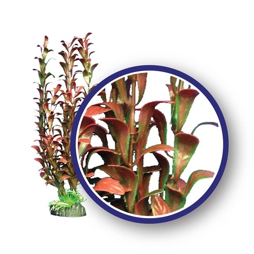 WECO PLANT RED HYGROPHILIA 12"