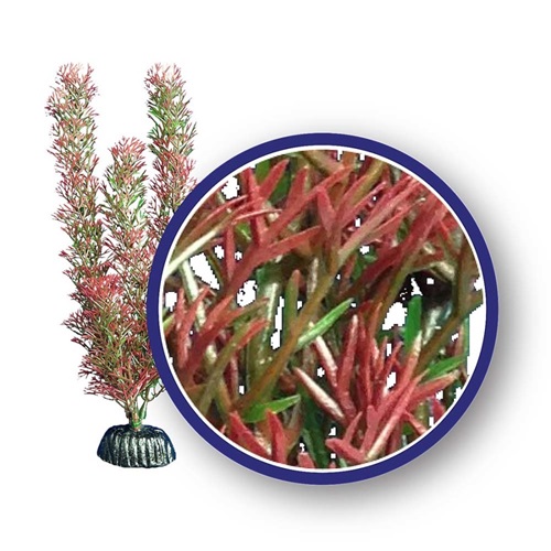 WECO PLANT RED FOXTAIL     12"