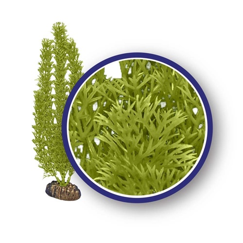 WECO PLANT GREEN FOXTAIL   12"