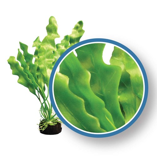 WECO PLANT HAIRGRASS 12"