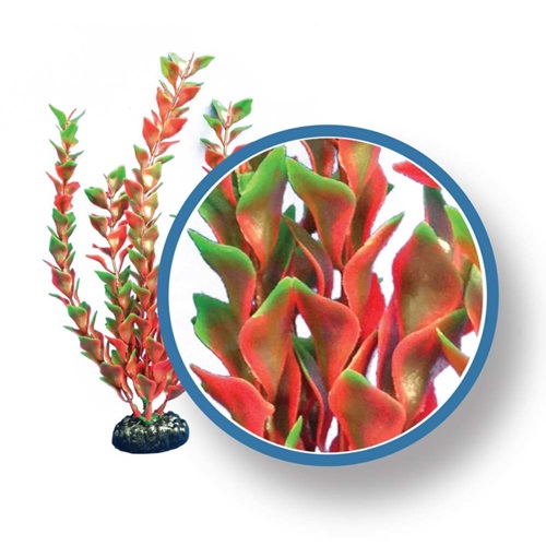 WECO RED LUDWIGIA PRO  30"