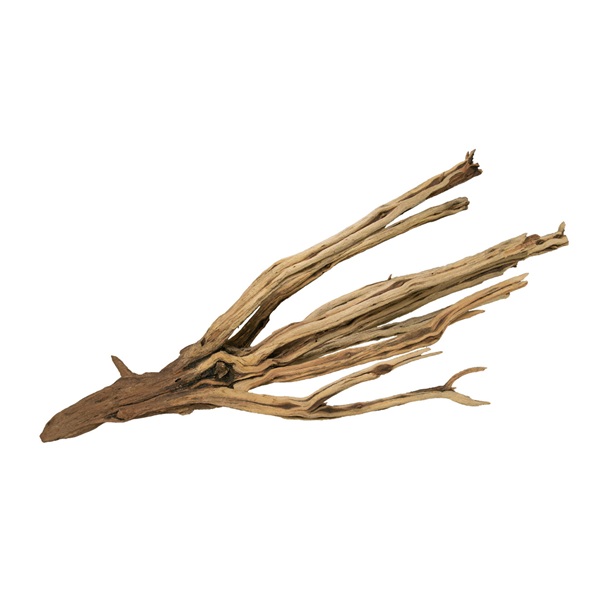 UT STARWOOD SMALL 16"-19"