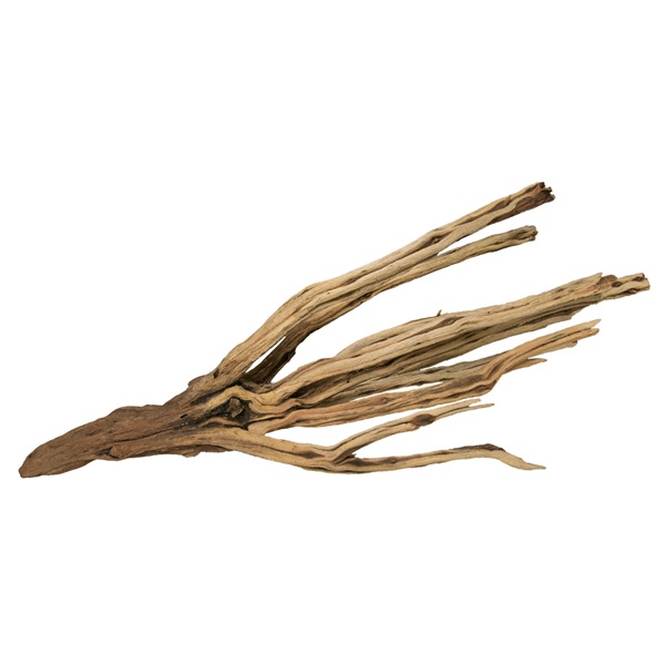 UT STARWOOD MEDIUM 20"-24"
