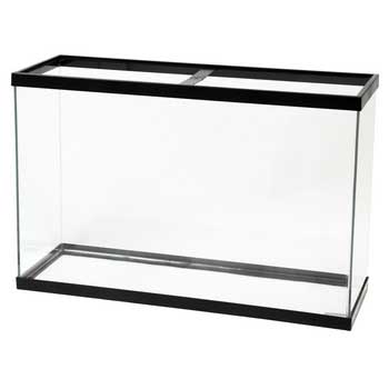 Aqueon 45 gallon Tall Aquarium 36x12x24