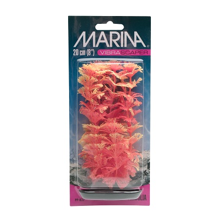 MARINA AMBULIA OR/YELLOW  8"