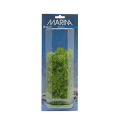 MARINA HORNWORT 12"