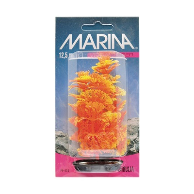 MARINA AMBULIA OR/YELLOW 12"