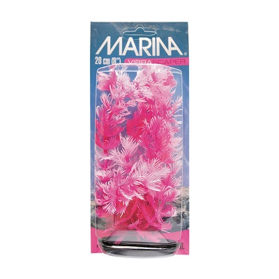 MARINA FOXTAIL WHT/PINK 12"