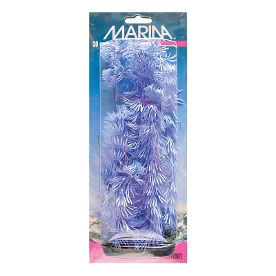 MARINA HORNWORT BLUE 12"