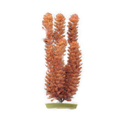 MARINA FOXTAIL 15"