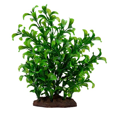 AQUALIFE BACOPA PLANT 8''