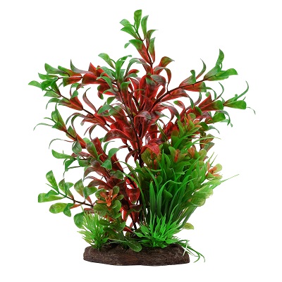 AQUALIFE RED LUDWIG/SAG PLANT 8"