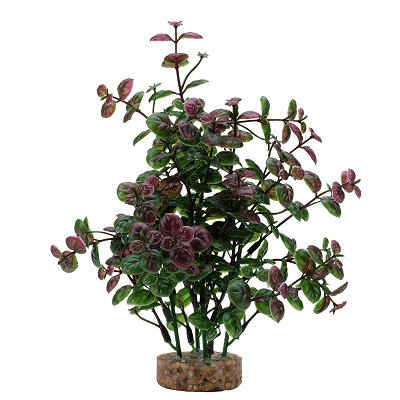 AQUALIFE RED BACOPA PLANT 8"