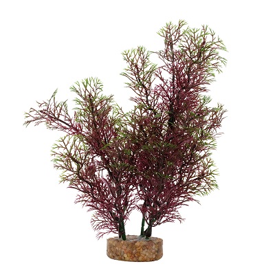 AQUALIFE RED/GRN FOXTAIL 8''