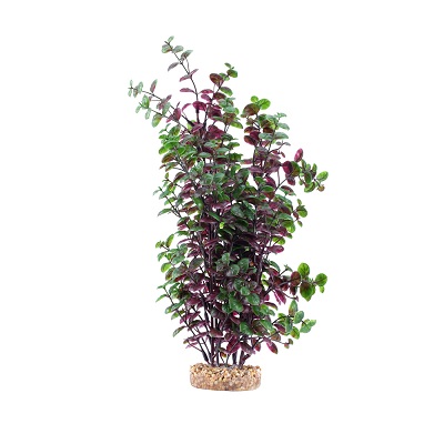 AQUALIFE RED BACOPA 14''