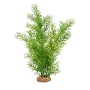 AQUALIFE GREEN LIMNOPHILA 14''