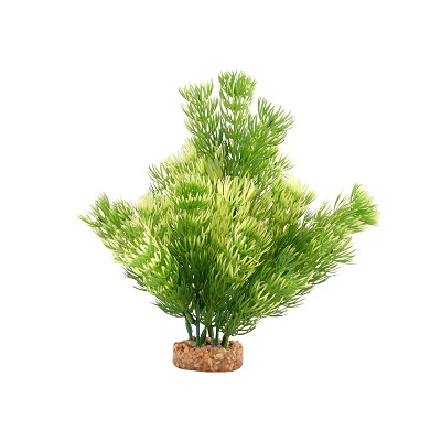 AQUALIFE GREEN CABOMBA PLANT 8"