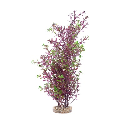 AQUALIFE RED ROTALA PLANT 10"