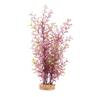 AQUALIFE RED LUDWIGIA PLANT 14"