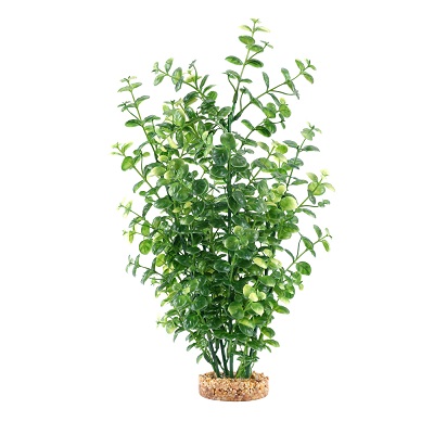 AQUALIFE GREEN BACOPA 14''