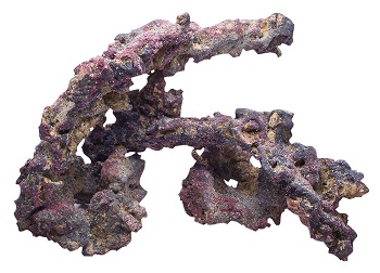 BELIZE LIFE ROCK&nbsp;&nbsp;/lb