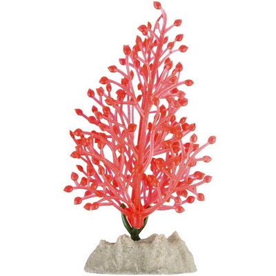 GLOFISH PLANT SMALL ORANGE