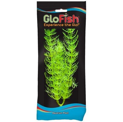 GLOFISH PLANT LARGE GREEN