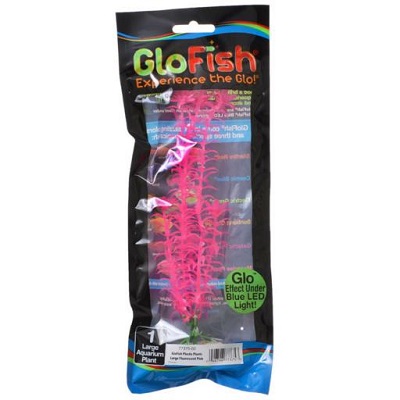 GLOFISH PLANT LARGE PINK