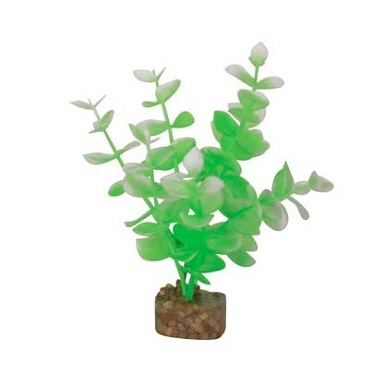 GLOFISH PLANT GRN/WHITE SMALL