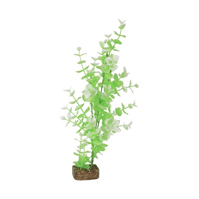 GLOFISH PLANT GRN/WHITE LARGE