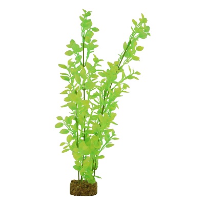 GLOFISH PLANT GRN/YELLOW XL