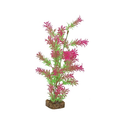 GLOFISH PLANT GRN/PINK   LARGE