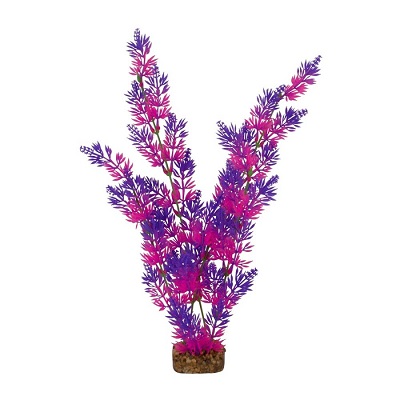 GLOFISH PLANT PURPLE/PINK XLARGE